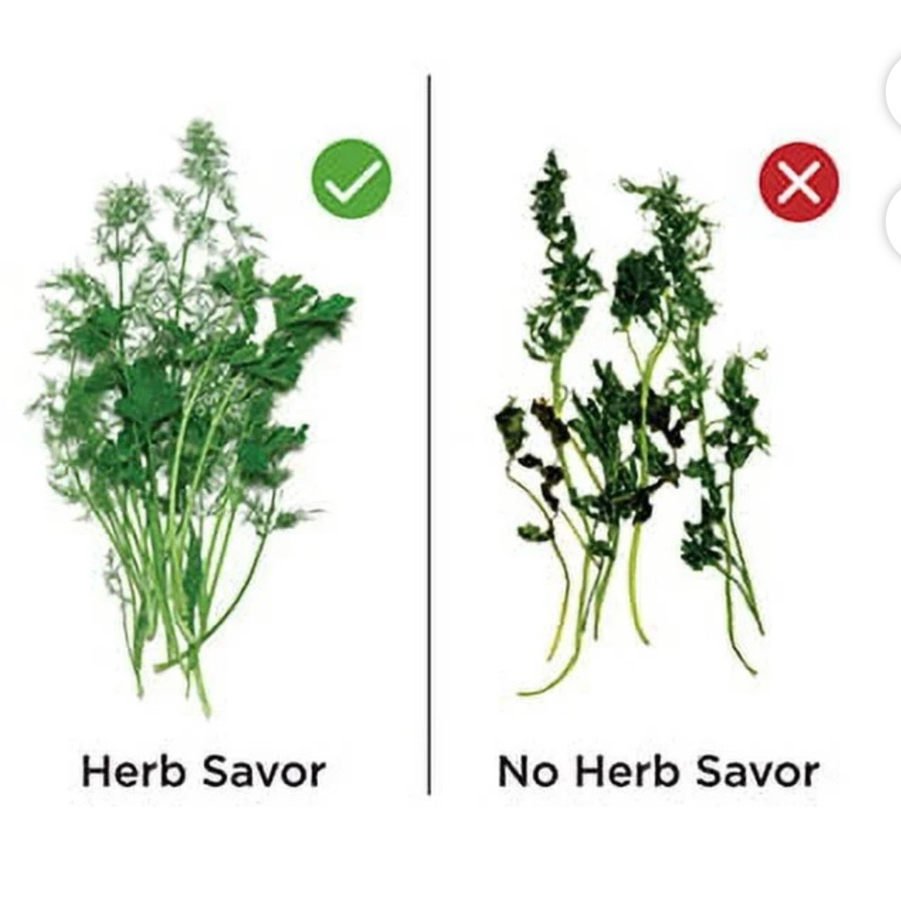 White Plastic Herb Food Storage Container (3 Count) NWT - Picture 4 of 11